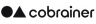 Data Science & Engineering Working Student - Cobrainer